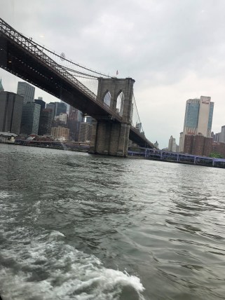 NYC CLIMATE TRIP JUNE 2019